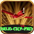 2019 world cup - Live Pro