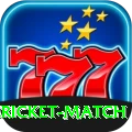 all cricket match Pro Edition v2.9.4