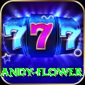 andy flower Deluxe v4.3.8