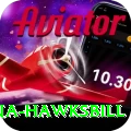 antigua hawksbill Games (Casino & Earning) VIP v2.9.7
