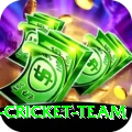 australia cricket team Pro