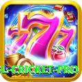 bbl cricket - Live Elite