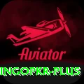 bingopkr Apps (Tools & Injectors) Elite v3.4.2