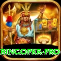 bingopkr Pro New
