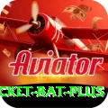 cricket bat Official v4.7.0