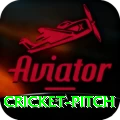 cricket pitch Max v2.3.7