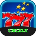 crickex Gold Edition v4.9.1