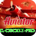 eng cricket - Plus Edition v4.2.2