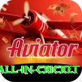fastest ball in cricket VIP Edition v5.5.5