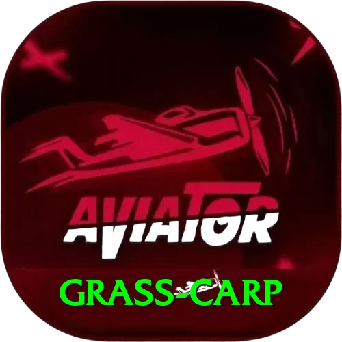 grass carp Premium v2.6.2 - 2
