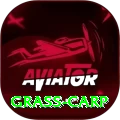 grass carp Premium v2.6.2