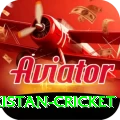 india pakistan cricket Elite Pro v2.5.8