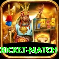 india pakistan cricket match Master Pro v1.2.6