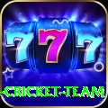 ireland cricket team Deluxe v2.8.4