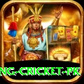 make money betting cricket pk Master v4.2.0
