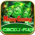 nepal cricket Elite v1.4.6