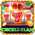 new zealand cricket team Pro Edition v4.4.0