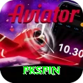 pkspin Apps (Tools & Injectors) Gold vv2.4.9