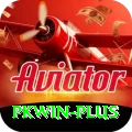 pkwin Gold Pro vv1.0.3