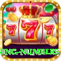 powerball winning numbers VIP v4.4.0