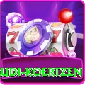 rudi koertzen Apps (Tools & Injectors) Turbo v1.1.8