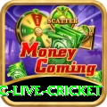 smartcric live cricket Master v5.4.6