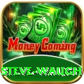 steve waugh Plus Pro v3.5.1