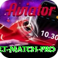 to day cricket match Master PK v3.2.6