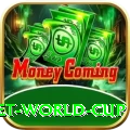 under 19 cricket world cup Deluxe Edition v4.5.2