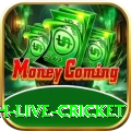 watch live cricket Max Pro v2.1.7