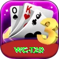 wc t20 Pro v4.2.0