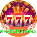 willow cricket App Plus v1.7.9