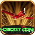 www cricket com Pro1 v5.2.1