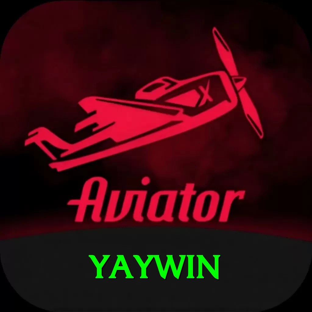 yaywin Pro v5.5.5 - 2
